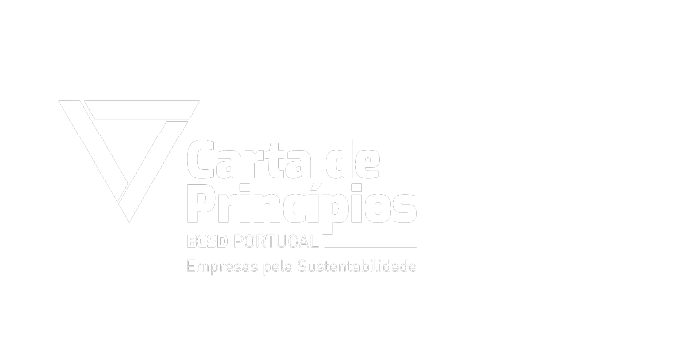 Carta Principios BCSD logo