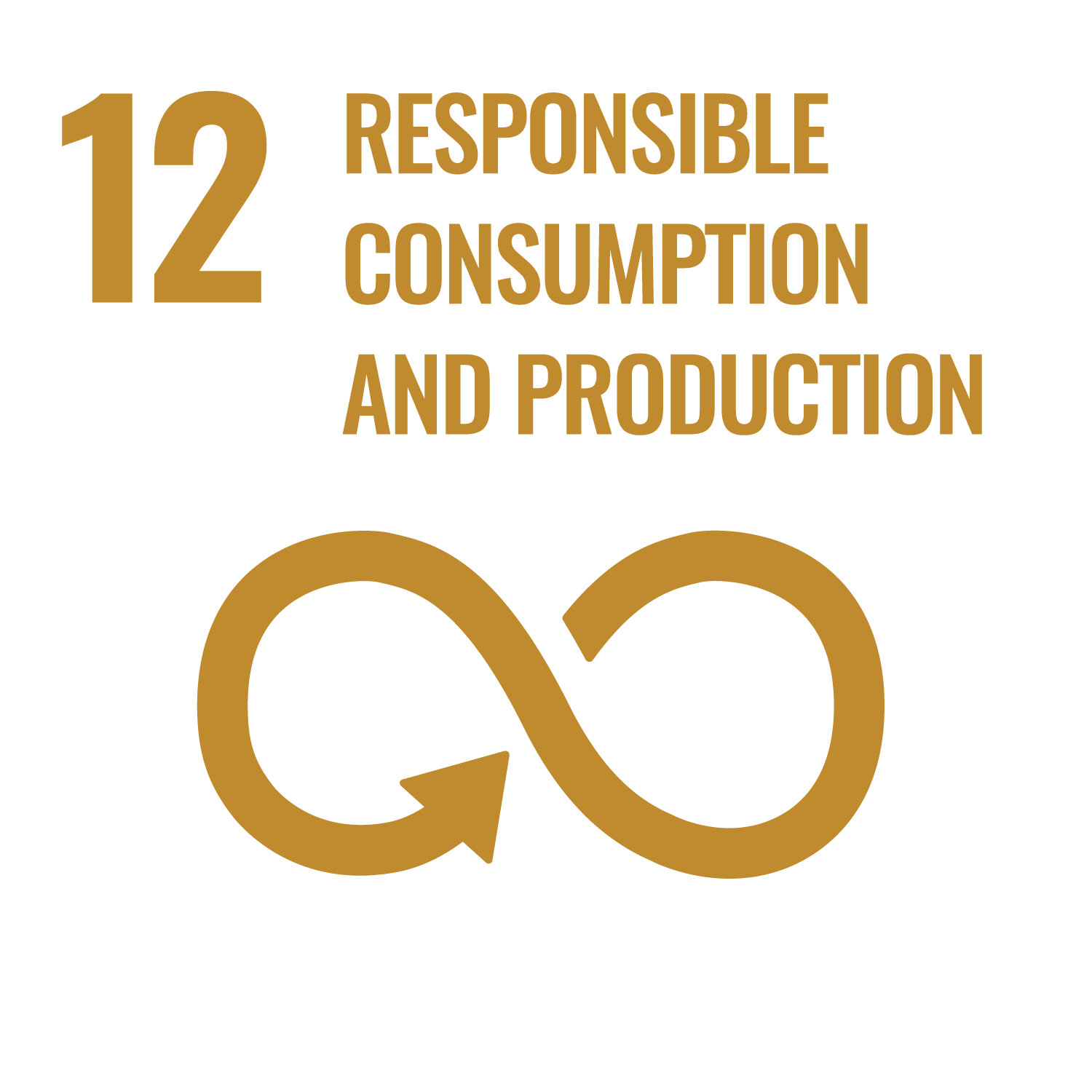 Sustainable Development Goals 12