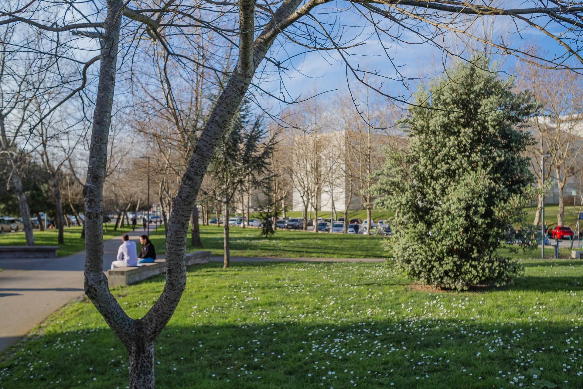 OOO KELWIN FERNANDES (7)